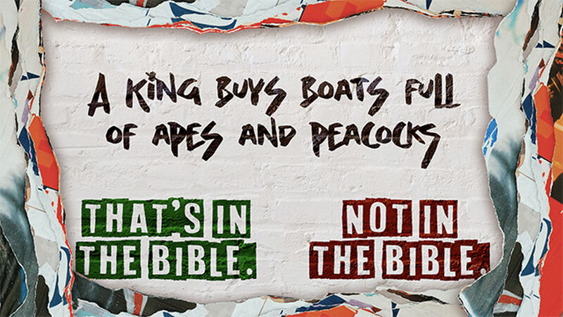 That's In The Bible!?